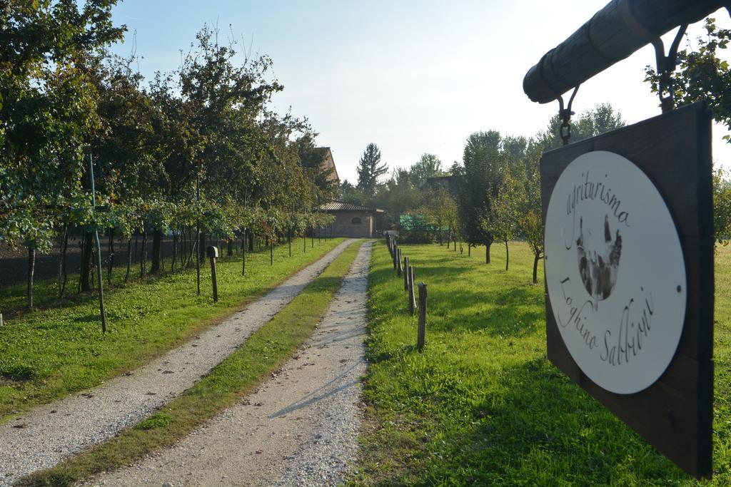 Agriturismo Loghino Sabbioni Suzzara Exterior foto