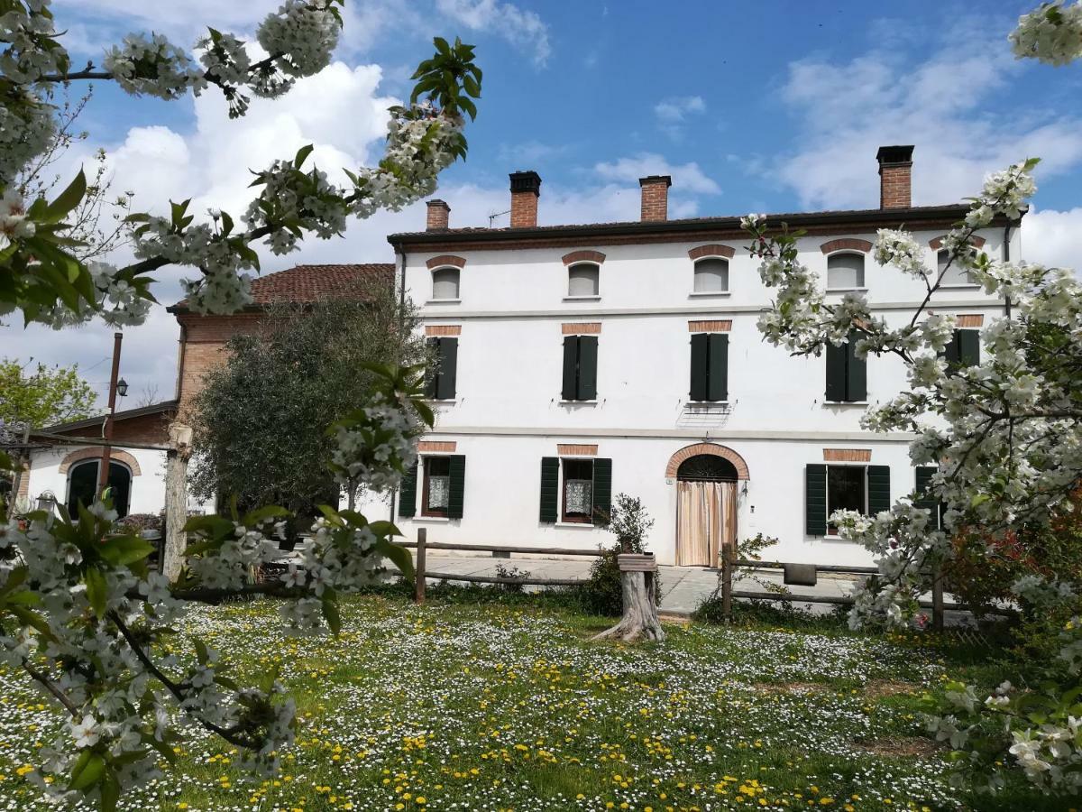 Agriturismo Loghino Sabbioni Suzzara Exterior foto